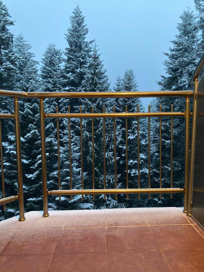 Flora Apartment 613 Borovets Exterior foto
